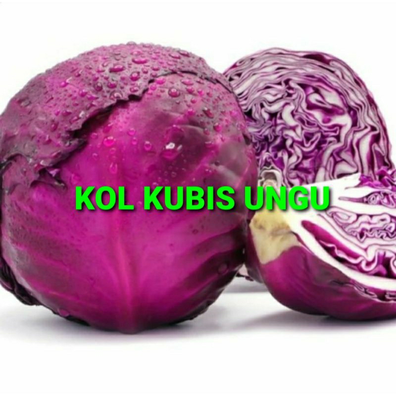 

KOL KUBIS UNGU KHUSUS PARA SULTAN 1 KG (PREMIUM QUALITY)