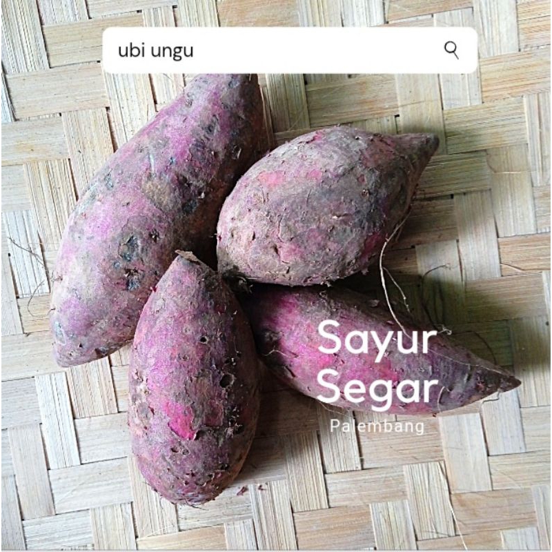 

Ubi Ungu Per Kg Sayur Segar Palembang