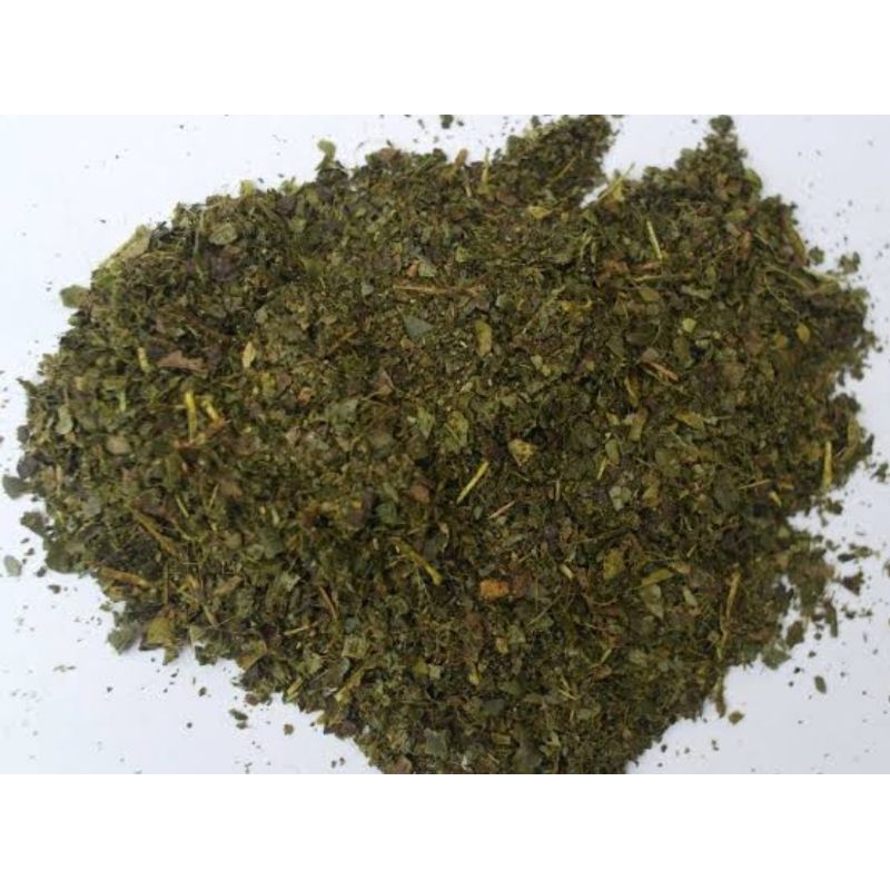 

daun jeruk purut segar