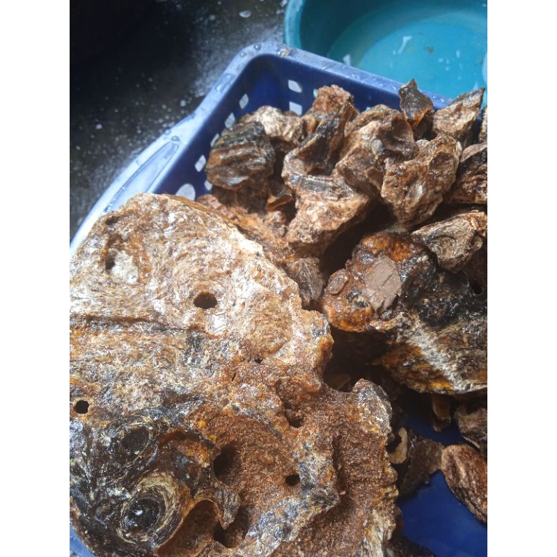 Batu damar, getah damar 1 kg