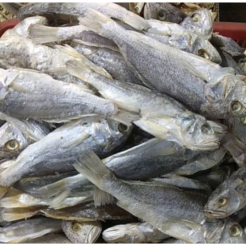 

Ikan Asin Kapala Batu Segar