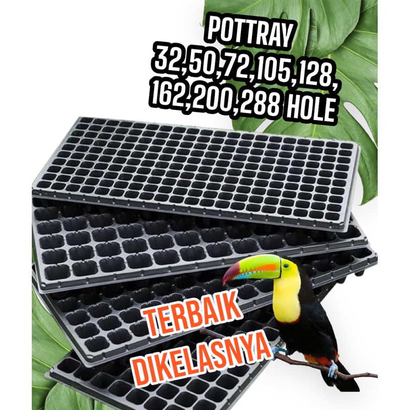 Baru Grosir Tray Semai berkualitas lubang 32, 50, 72, 105, 128, 162, 200