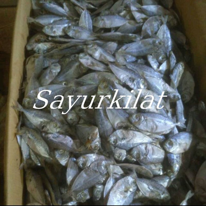 

Ikan asin petek 250 gram