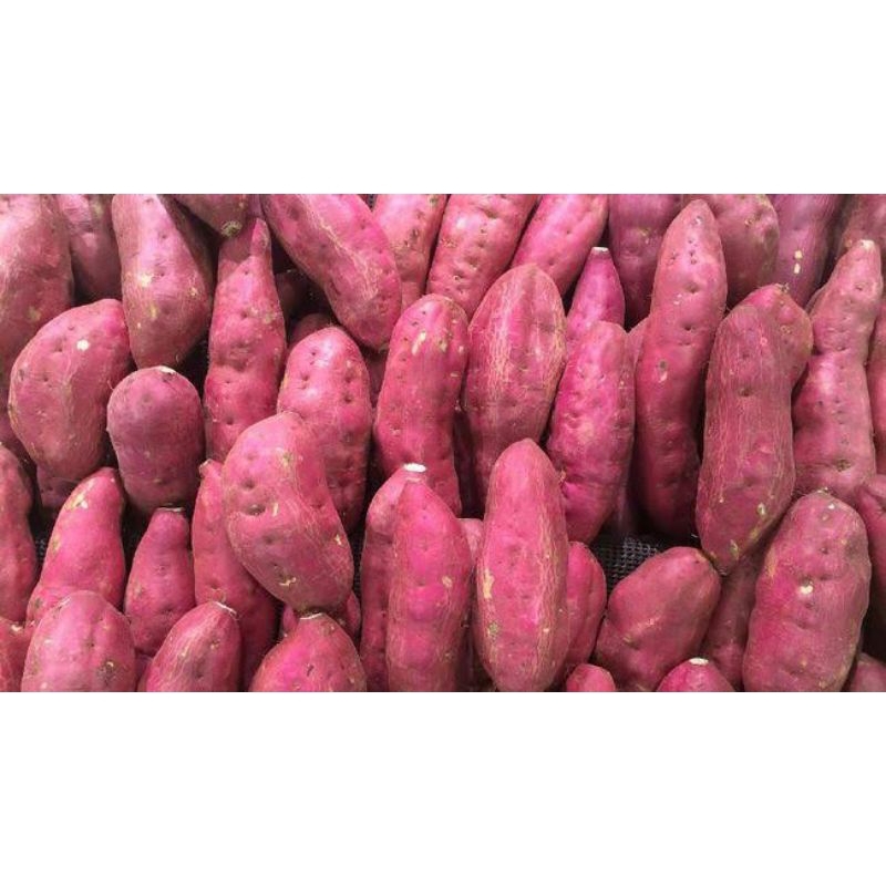 ubi rambat madu manis 4.500 / 500 gram