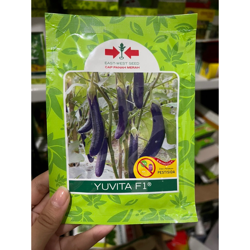 Benih terong ungu YUVITA F1 1100 butir