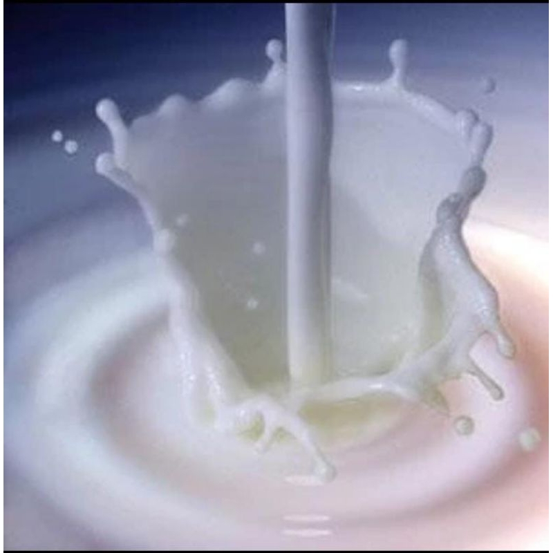 

Susu Kambing Etawa Segar