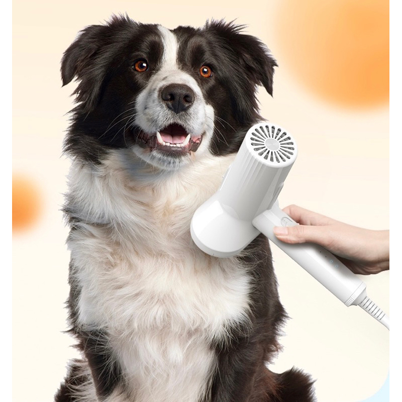 Pet dryer grooming blower fast drying with auto clean slicker