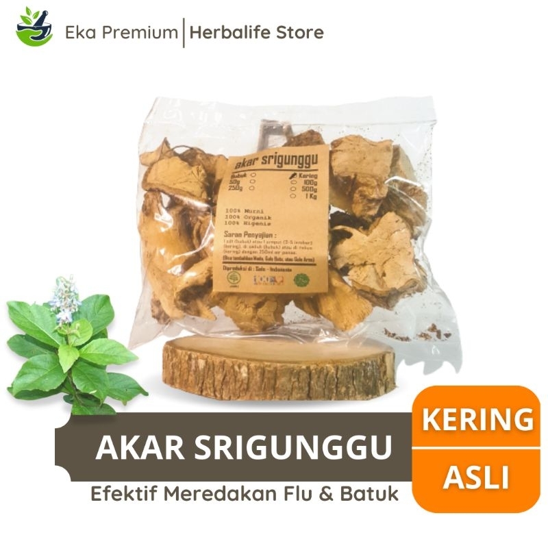 

AKAR SRIGUNGGU KERING Senggugu Asli Ramuan Rempah Herbal Jamu Minuman Obat Tradisional Flu Batuk Asma