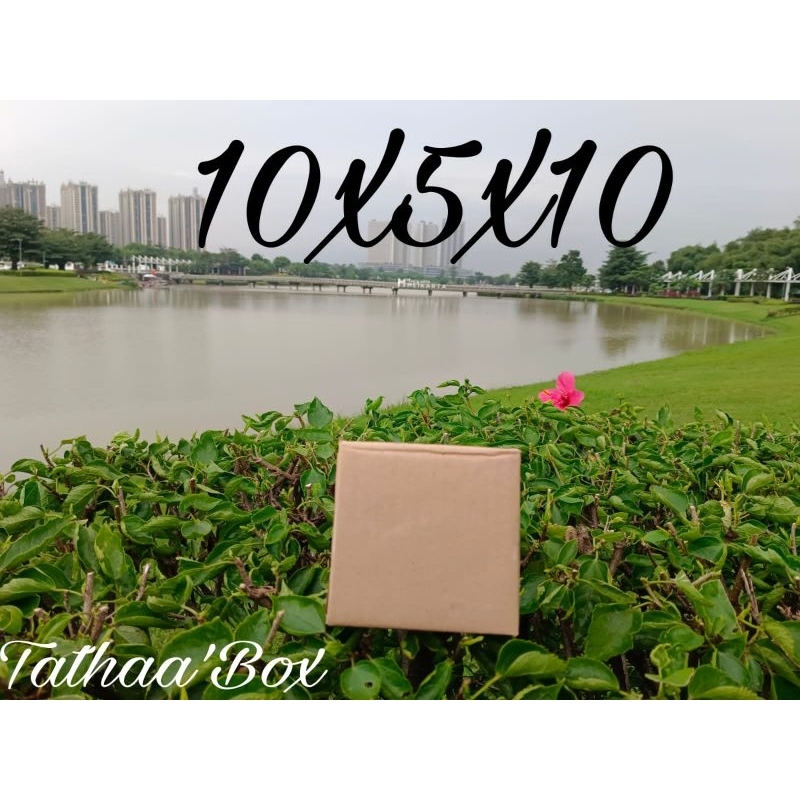 

kardus packing polos uk 10×5×10