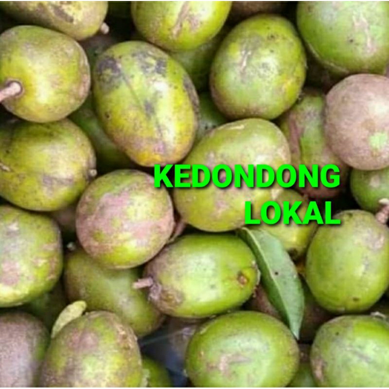 

KEDONDONG LOKAL KHUSUS PARA SULTAN 1 KG (PREMIUM QUALITY)