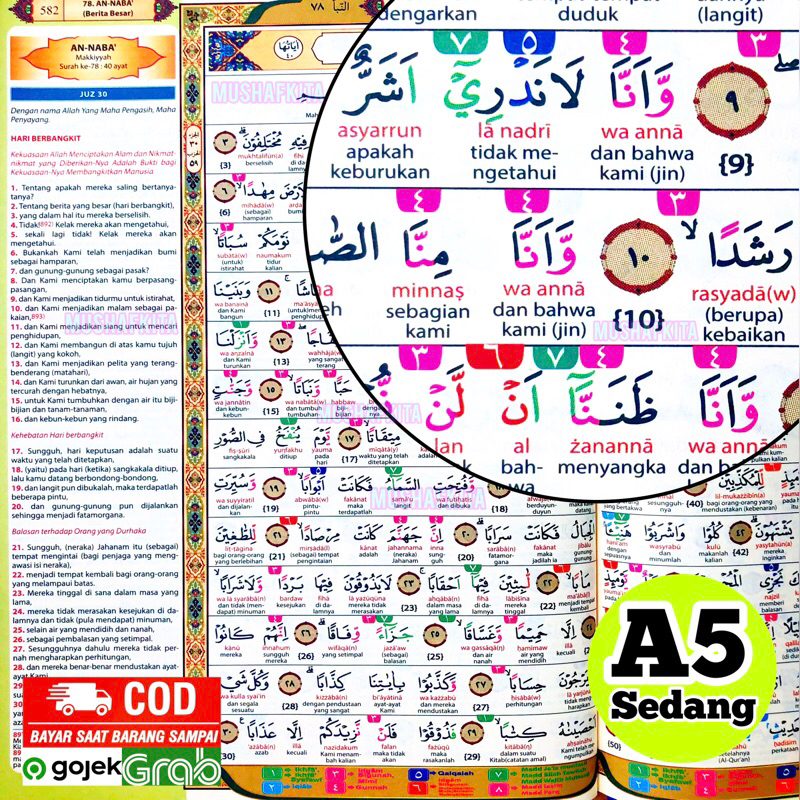 AlQuran Terjemahan dan Tajwid Warna Perkata AlQuran Pemula Latin Terjemah dan Tajwid Warna Belajar T