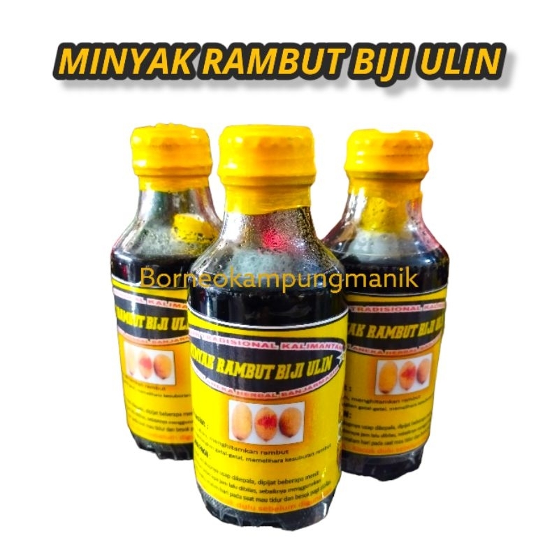 Minyak buah ulin - minyak rambut biji buah ulin - minyak uban