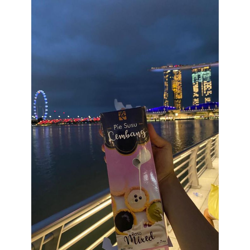 Pie Susu lembang mixed 7pcs (Bisa ke Luar kota,luar P.Jawa) Dus+ buble wrap
