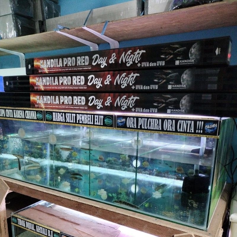 lampu celup tanning aquarium kandila pro red day and night plus 1000 lampu LED aquarium tanning kand
