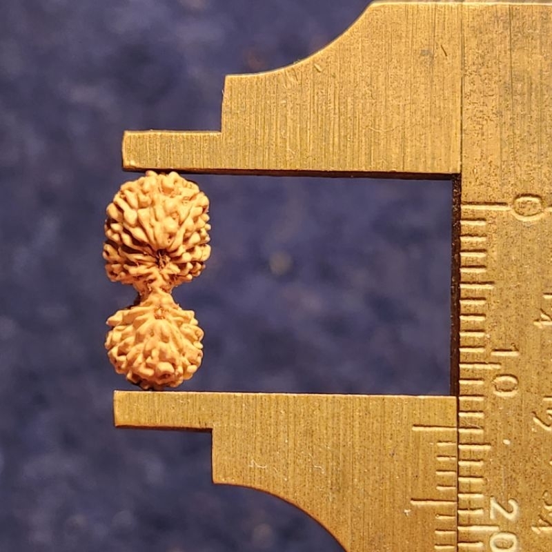 Mukhi 20 GS medium size