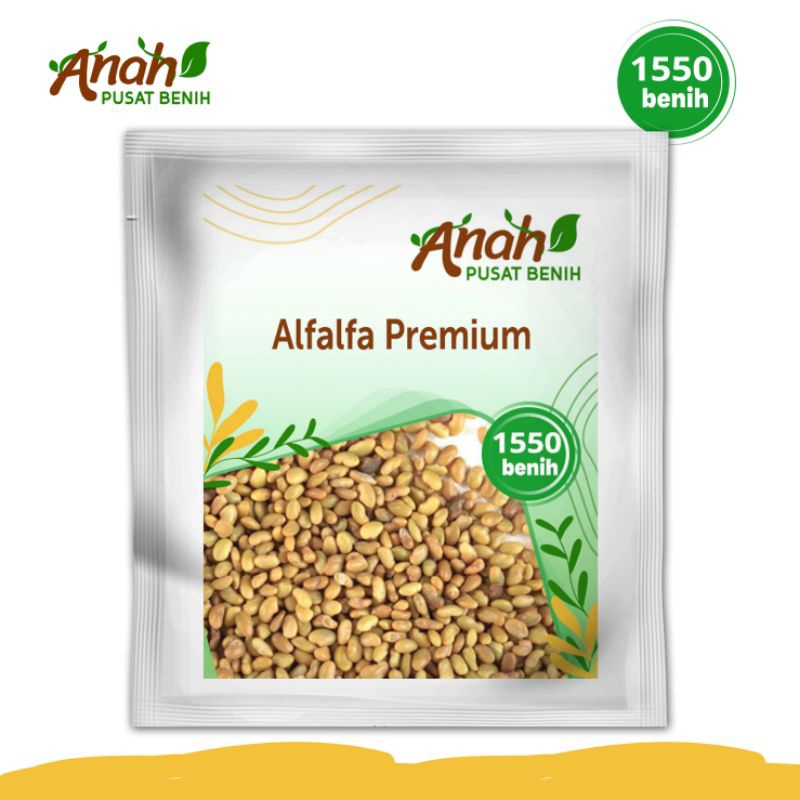 Shopritz Bibit Benih Pakan Ternak Alfalfa 1550 Biji / Benih Alfalfa / Bibit Pakan