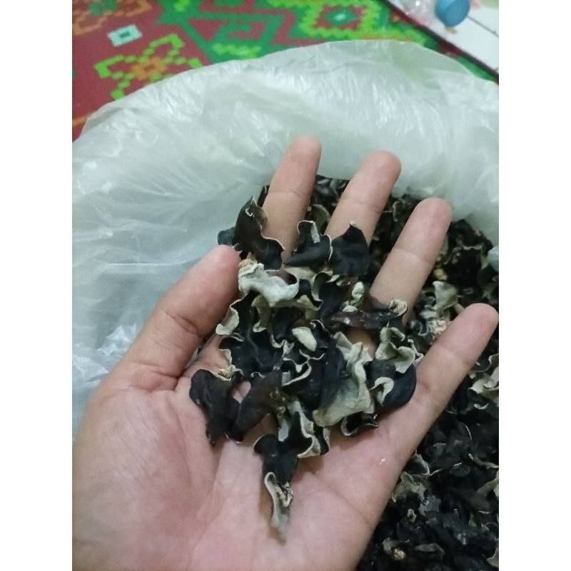 

Jamur kuping kering kecil 1kg