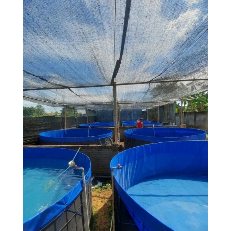 Kolam Terpal Bundar Bahan Orchid