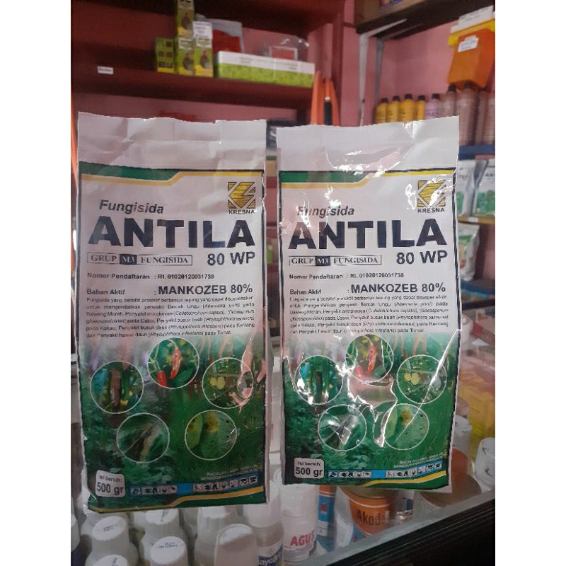 ANTILA 80 WP FUNGISIDA MANKOZEB