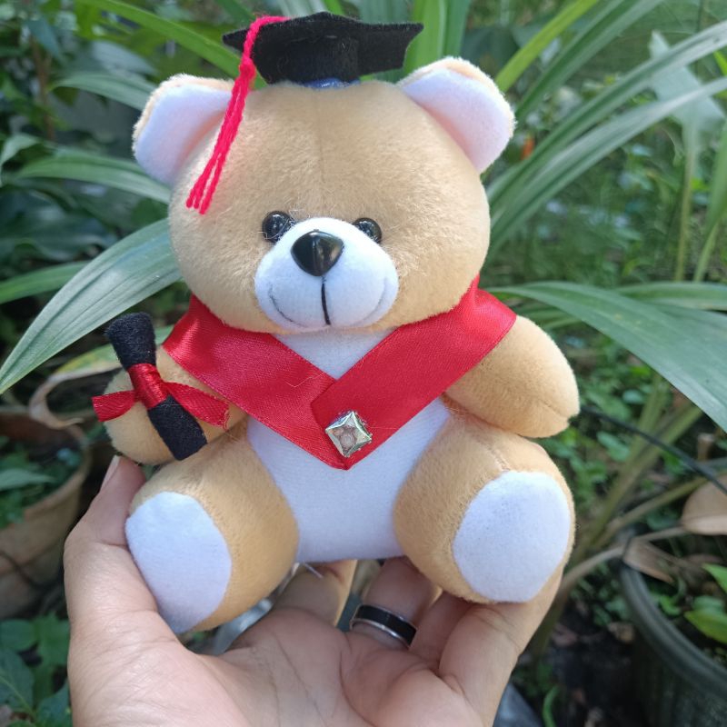 BONEKA BERUANG VELBOA / BONEKA BUKET / BONEKA WISUDA