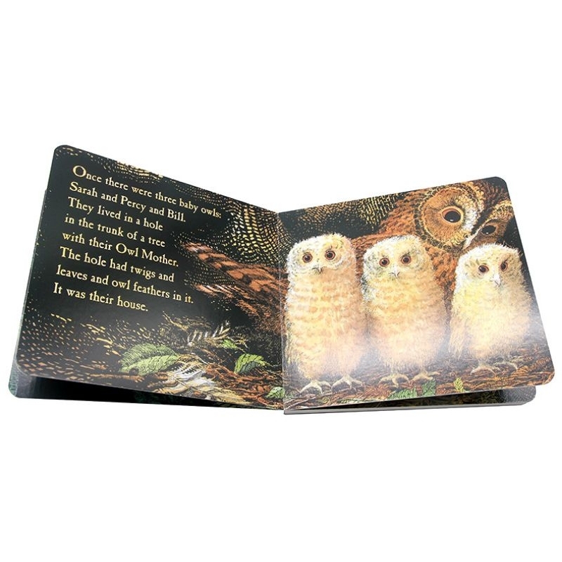 Original board book Owl babies 25th anniversary buku anak buku impor happychild