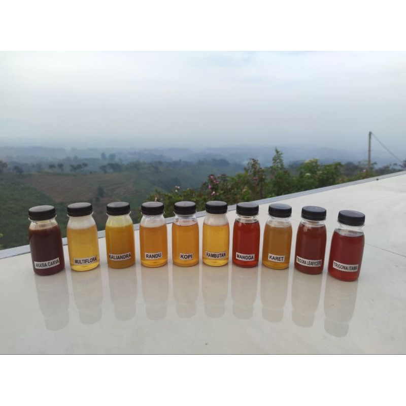 

Pure 100% Raw Honey [ 100gr ] Sampel Madu Murni