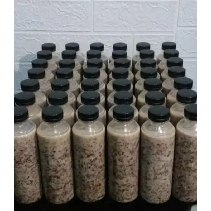 

ice puding lumut coklat