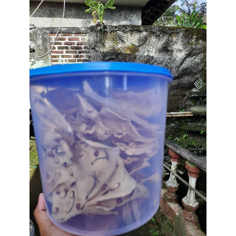 

Rempeyek Renyah free toples 5 liter