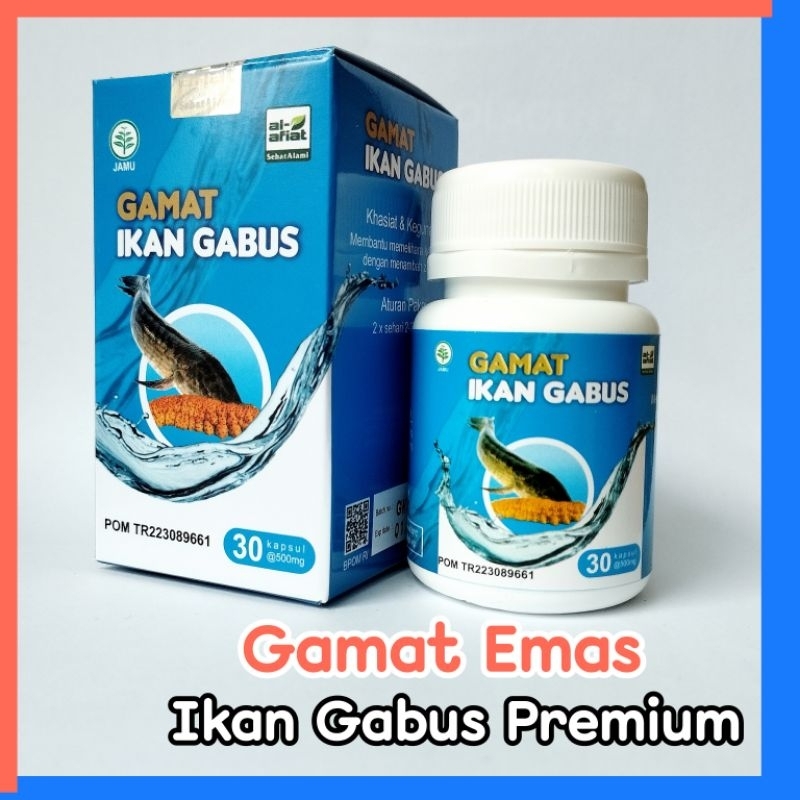 Kapsul Kutuk Ikan Gabus Premium plus Gamat obat Diabetes dan asam lambung