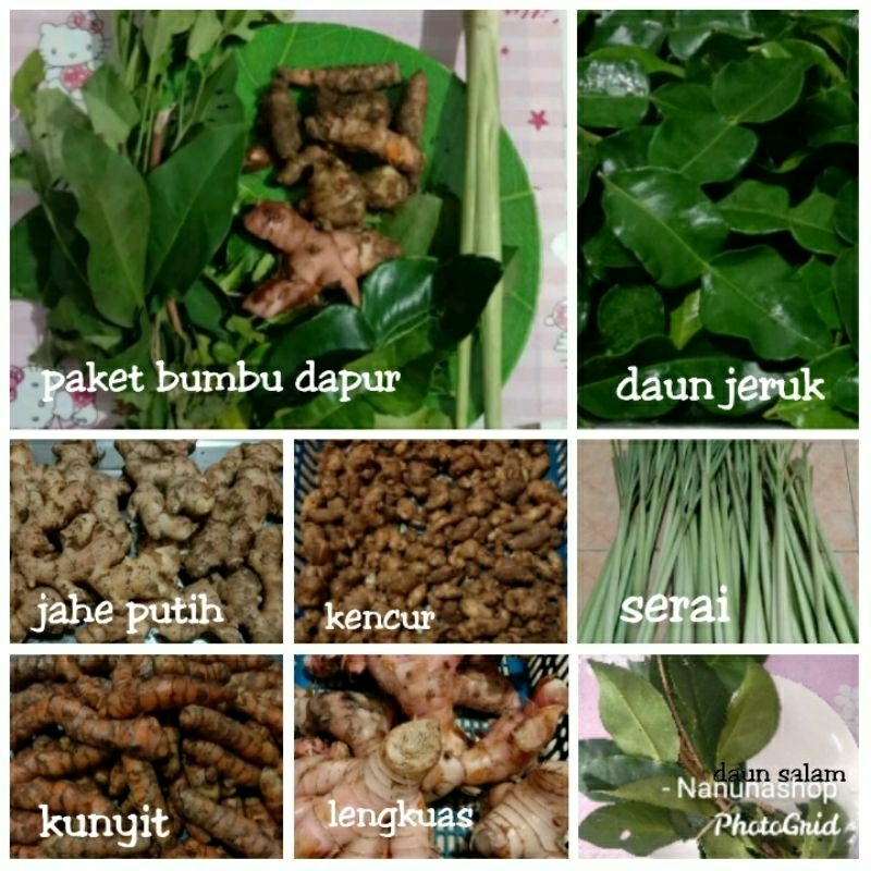 

Aneka bumbu dapur , kunyit, kencur, jahe, lengkuas, daun jeruk,daun salam, serai