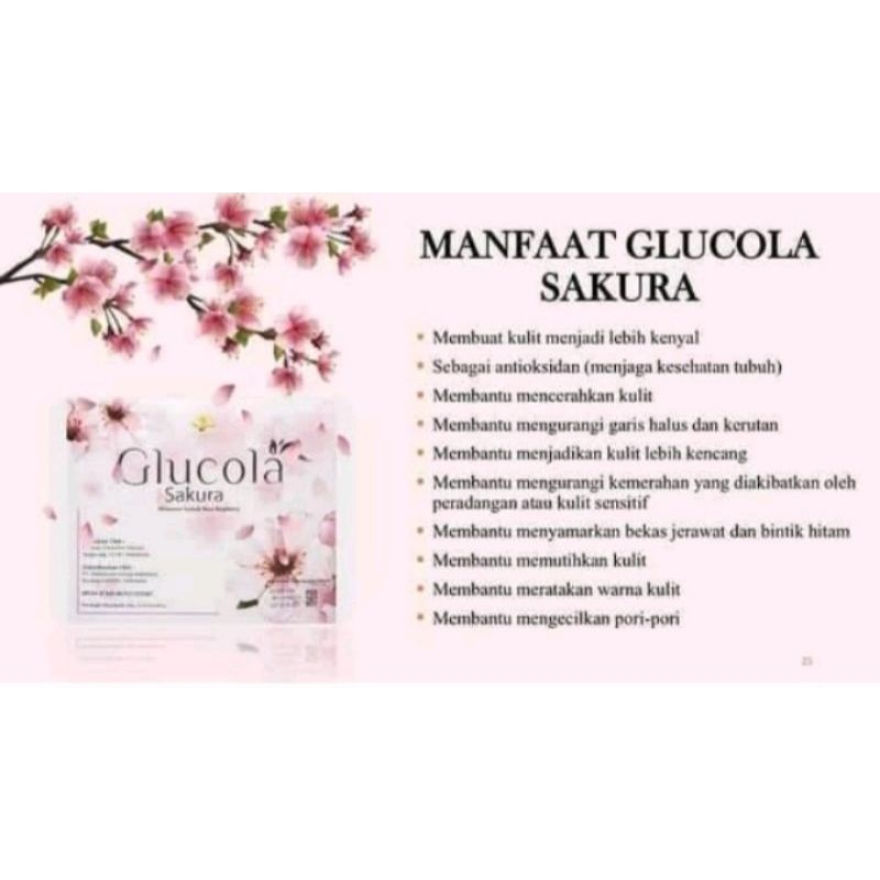 

glucola sakura ori mci segel