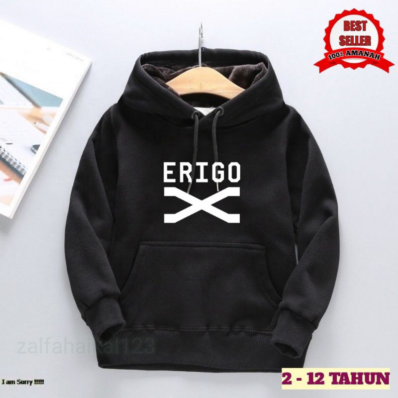 jaket sweater hoodie anak laki laki dan perempuan erigo usia 2 - 12 tahun/sweater hoodie erigo/Hoodi