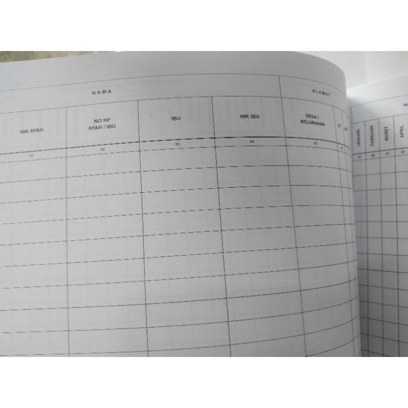 REGISTER POSYANDU (Bayi dan Balita)