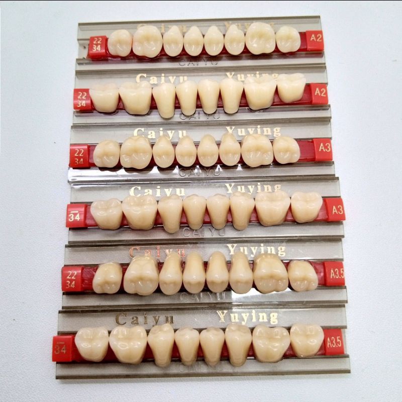 GIGI PALSU GERAHAM BELAKANG ATAS DAN BAWAH / POSTERIOR BAWAH CAIYU