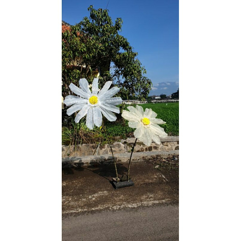 Giant Flower Daisy Aster Bunga Hiasan Kain Organza Kelopak Jumbo Besar Dekorasi 80cm