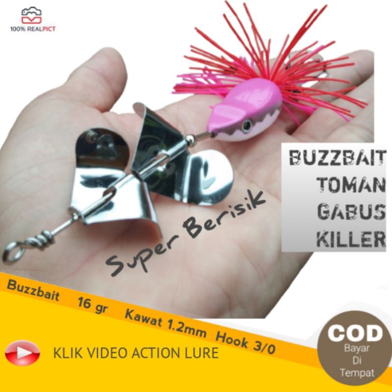 Umpan Casting Kesting Buzzbait Toman Gabus Kerandang Tapah Dua Kipas Paling Ampuh Jitu Berisik Dua K