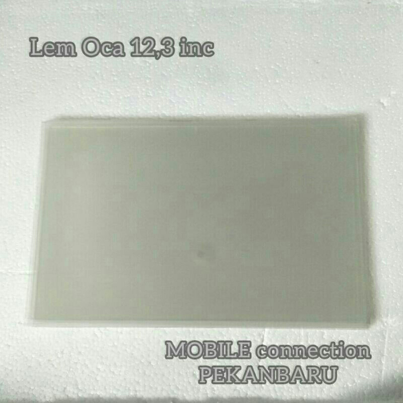 

LEM OCA KERING 12,3 INC