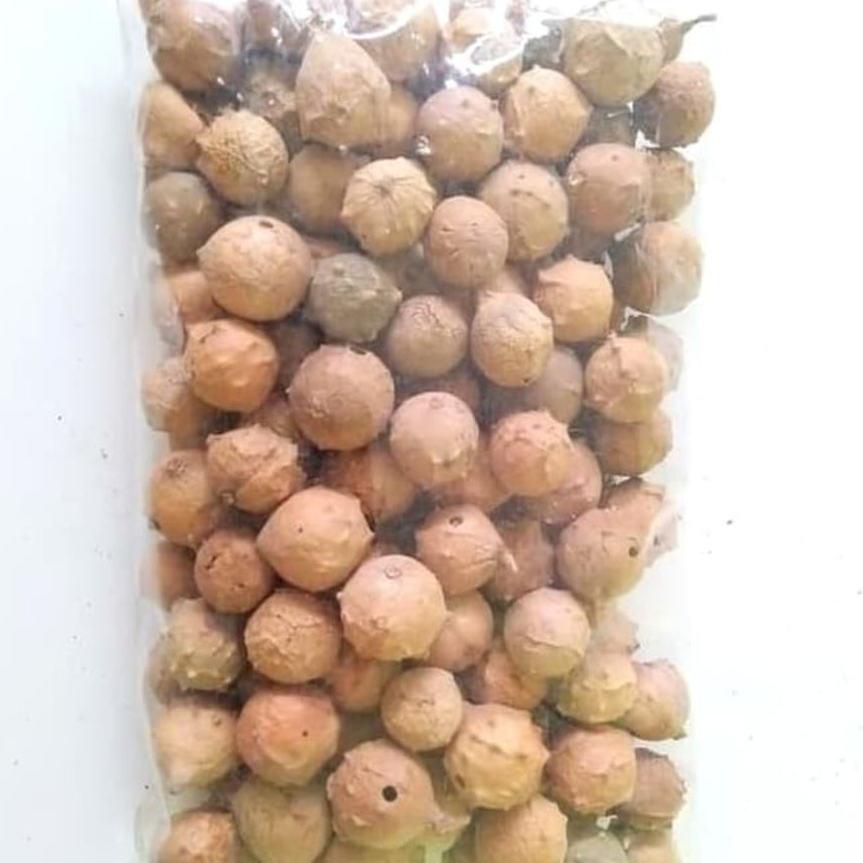

TERBAIK BIJI MAJAKANI PUTIH /OAKGALL 1KG