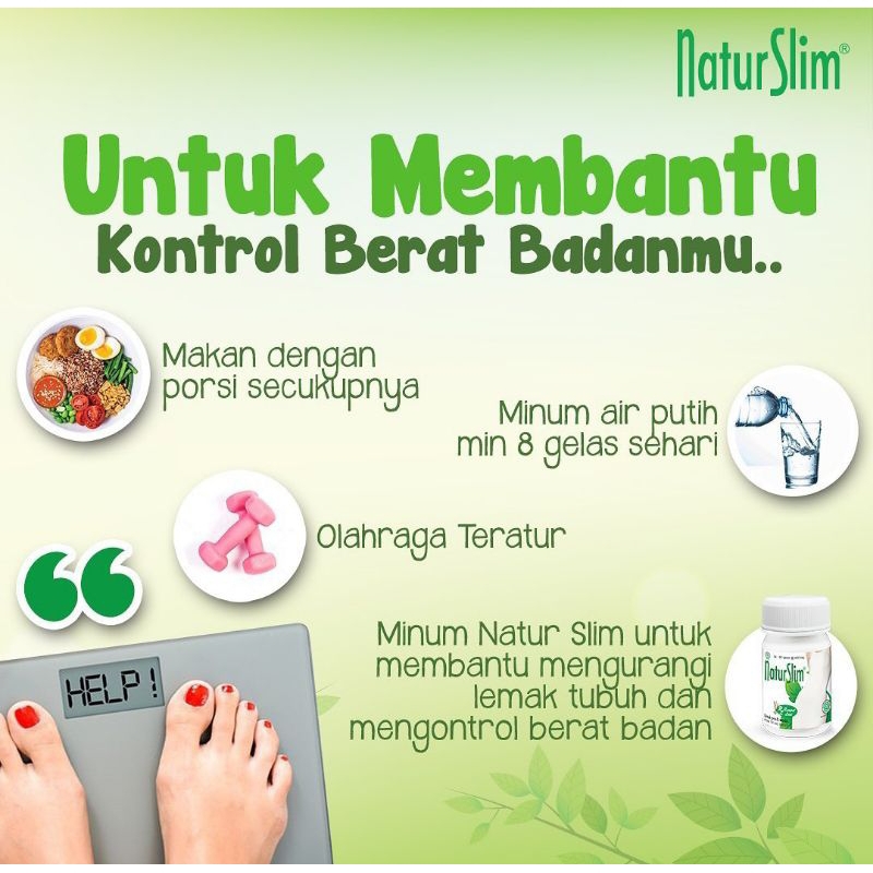 Natur Slim isi 30 obat diet peluntur lemak pelangsing badan