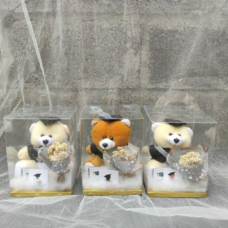 hadiah wisuda/boneka wisuda/wisudamurah/buketwisuda/graduation/