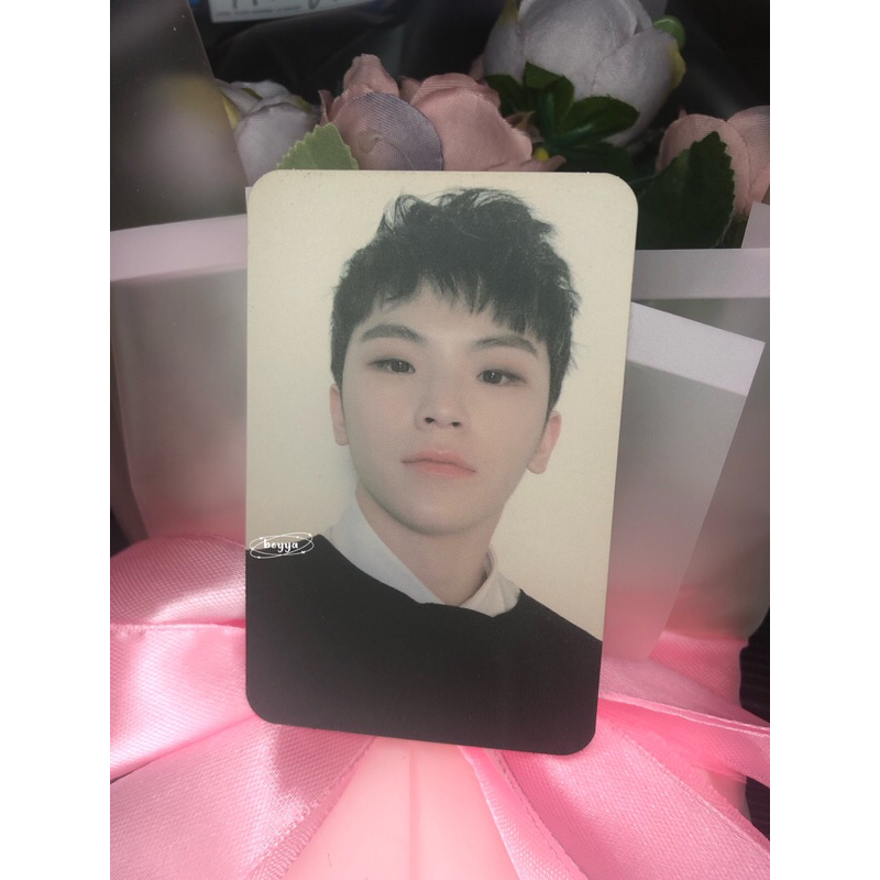 pc woozi seventeen
