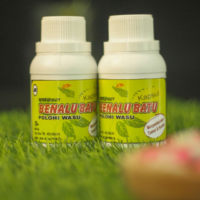 BENALU BATU KAPSUL ASLI SULAWESI TENGAH|TANAMAN HERBAL| isi 30 Kapsul| BPOM|| BERGARANSI UANG KEMBAL