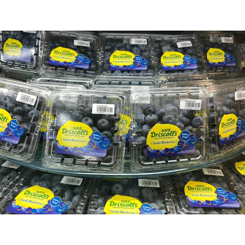 

Blueberry Driscoll's Jumbo Import Blueberries import | Pack