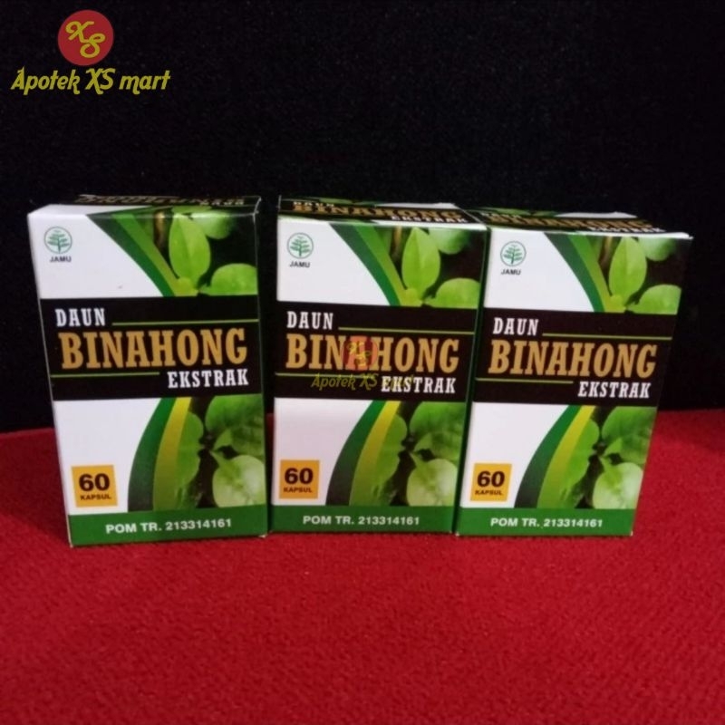 DAUN BINAHONG EKSTRAK KAPSUL PEMULIHAN LUKA TEKANAN STROKE PATAH TULANG