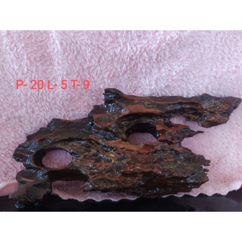 kayu rentek aquascape tenggelam