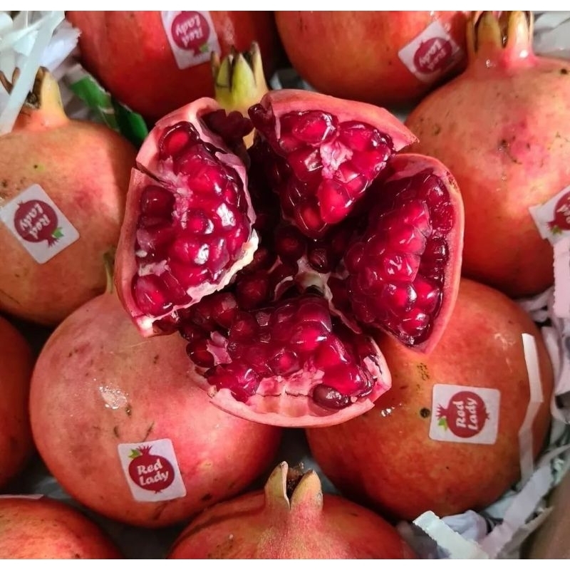 

Pomegranate delima india merah