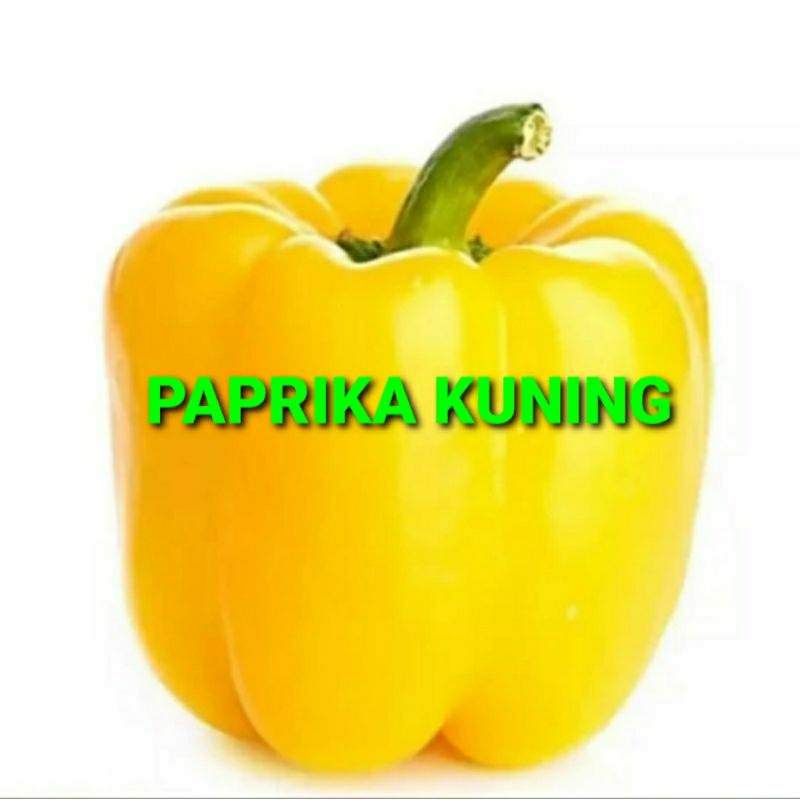 

PAPRIKA KUNING KHUSUS PARA SULTAN 1 KG (PREMIUM QUALITY)