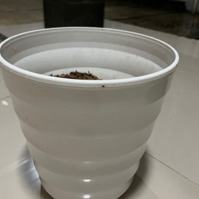 pot putih ukuran 32 jual pot putih ukuran 32cm