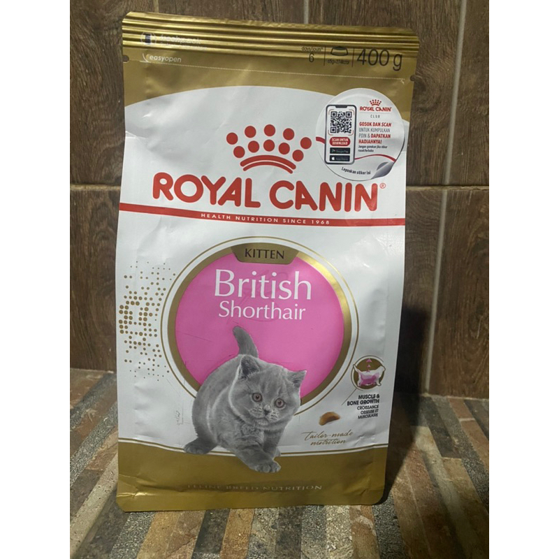 Royal Canin kitten british shorthair