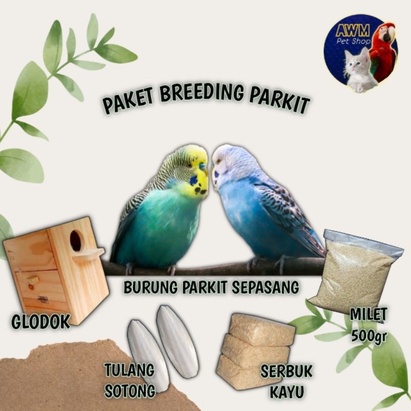 PAKET BREEDING BURUNG PARKIT LOKAL SEPASANG KHUSUS TERNAK SIAP KAWIN USIA DEWASA